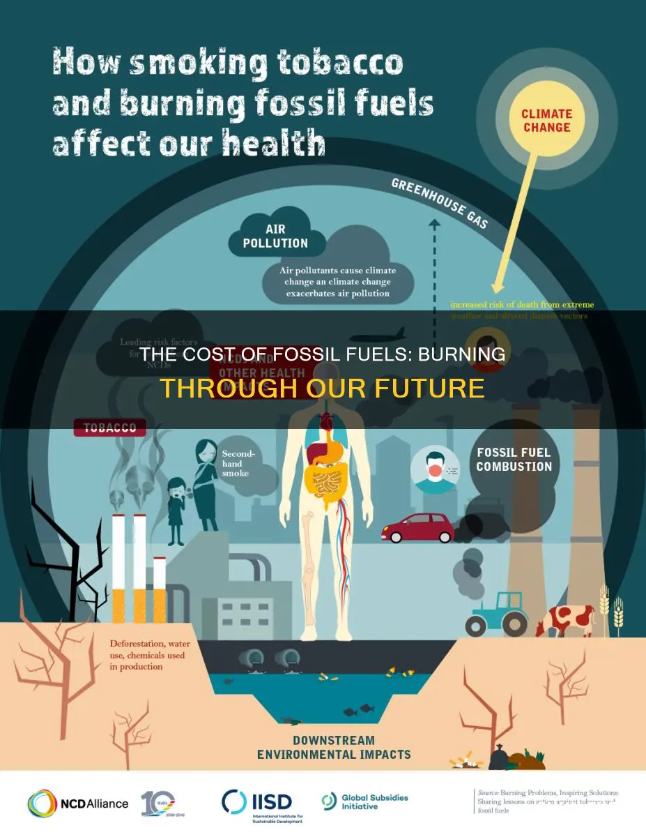 how much fossil fuels are burned by companies