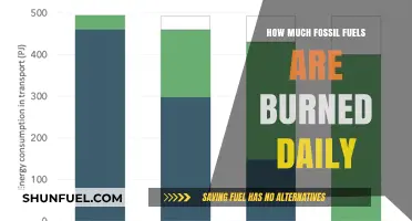 The World's Daily Fossil Fuel Consumption