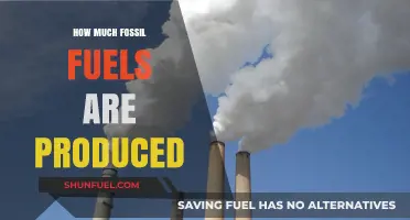 The World's Fossil Fuel Production: A Comprehensive Overview