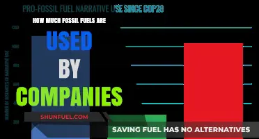 The Corporate World's Fossil Fuel Addiction