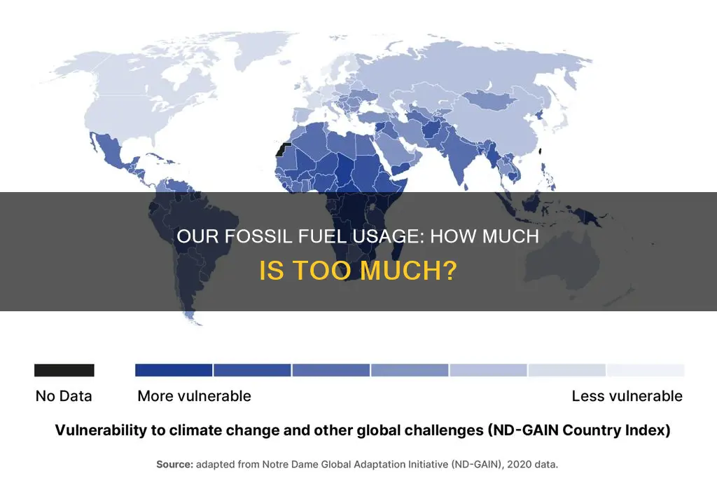 how much fossil fuels are used by individuals