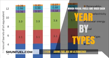 Fossil Fuel Usage: An Annual Breakdown
