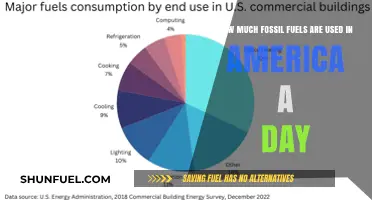 America's Daily Fossil Fuel Consumption: A Huge Concern