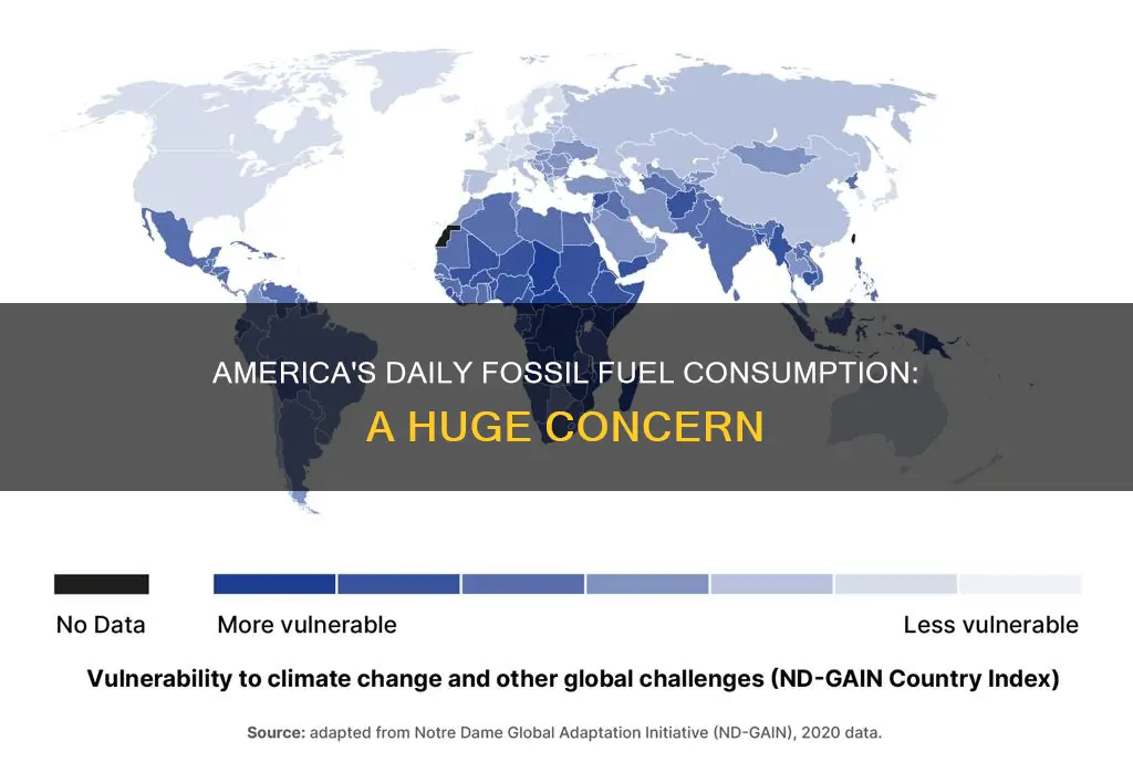 how much fossil fuels are used in america a day