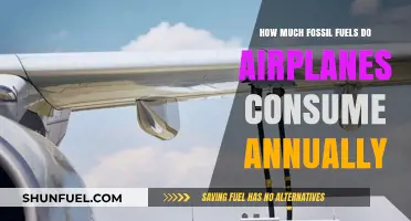 Airplanes' Fossil Fuel Consumption: A Yearly Overview