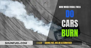 Cars' Fossil Fuel Consumption: Burning a Hole in the Planet