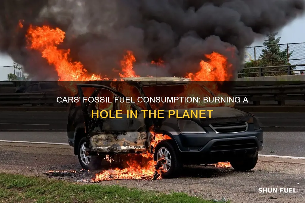 how much fossil fuels do cars burn