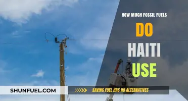 Haiti's Fossil Fuel Consumption: A Detailed Overview