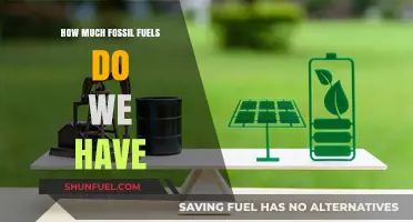 The World's Remaining Fossil Fuel Reserves: How Much is Left?