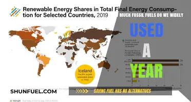 The World's Fossil Fuel Addiction: An Annual Overview