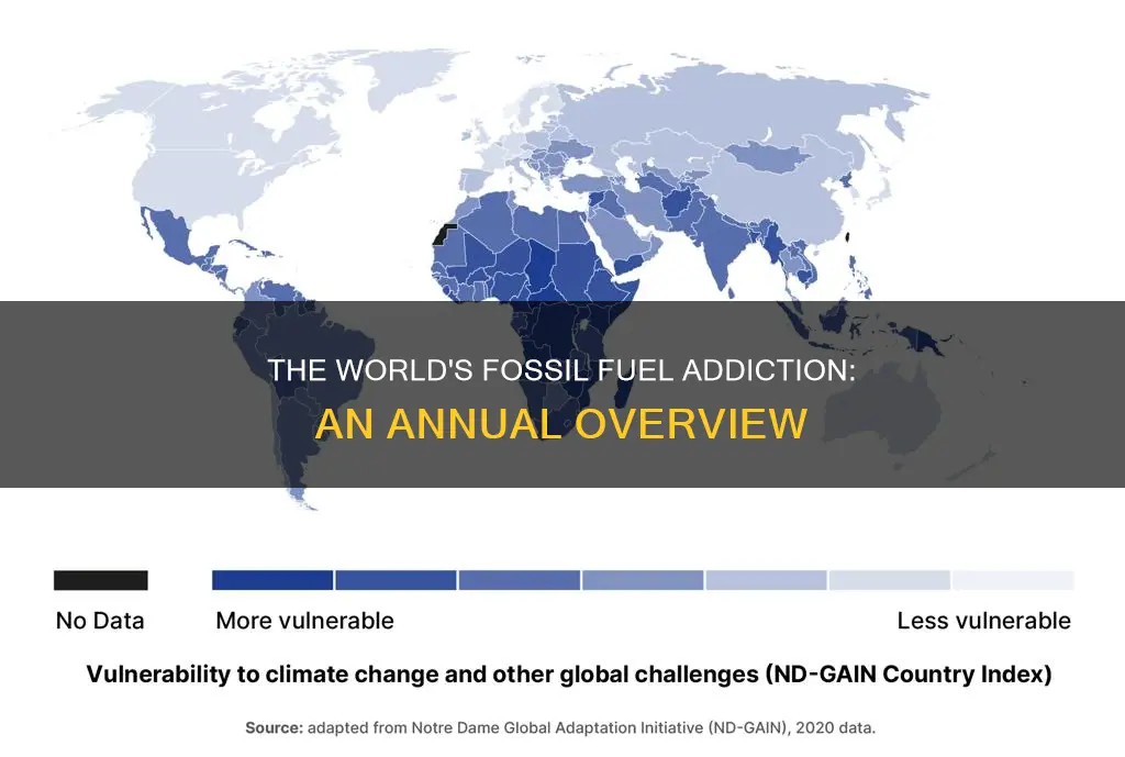 how much fossil fuels do we widely used a year