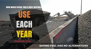 Australia's Annual Fossil Fuel Consumption: Understanding the Numbers