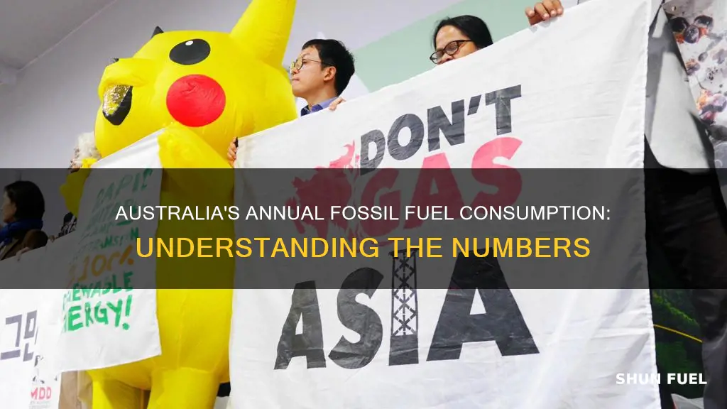 how much fossil fuels does australia use each year