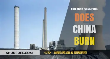 China's Fossil Fuel Consumption: Burning Statistics