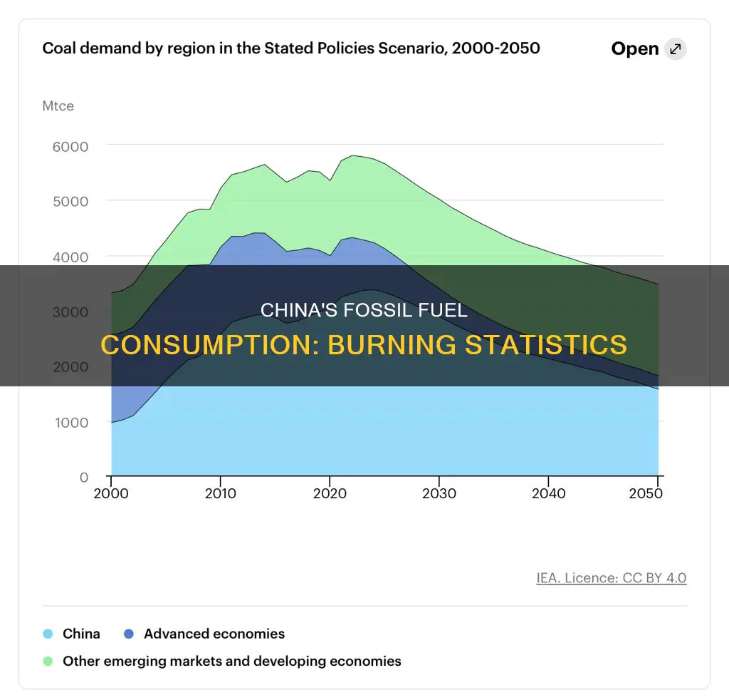 how much fossil fuels does china burn
