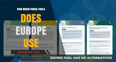Europe's Fossil Fuel Consumption: Understanding Usage and Impact