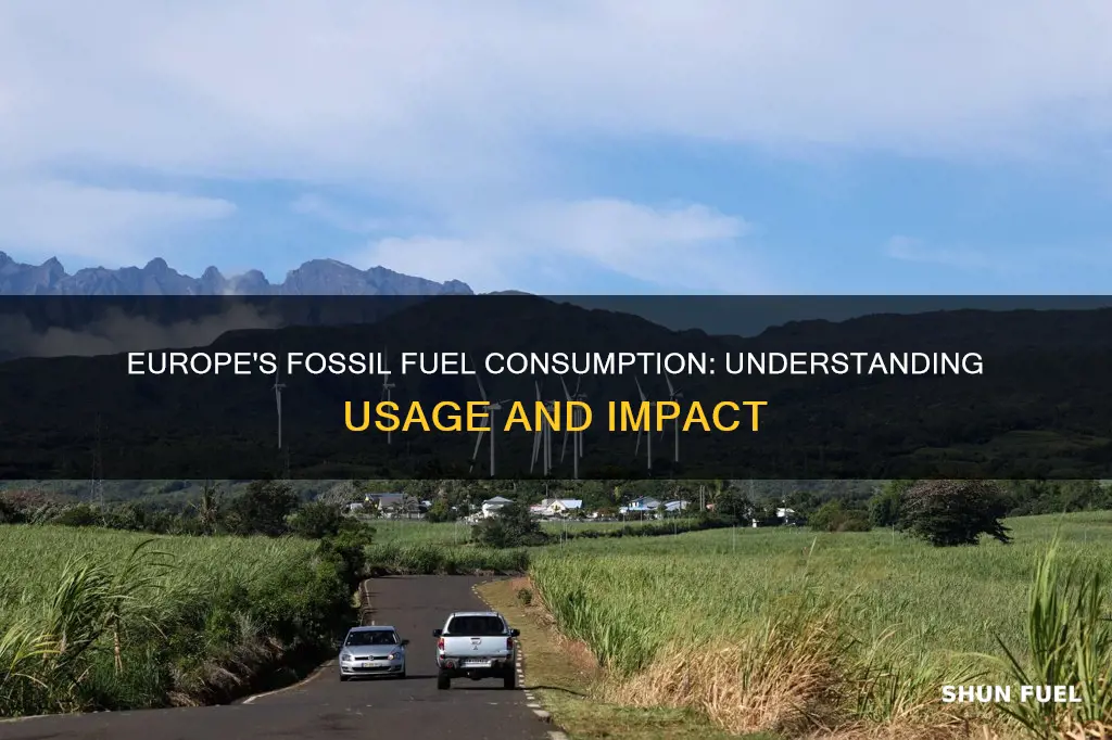 how much fossil fuels does europe use