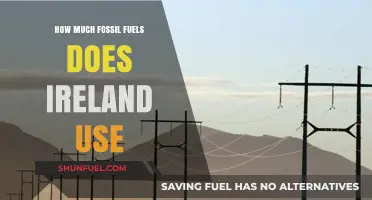 Ireland's Fossil Fuel Consumption: Current Usage and Future Trends