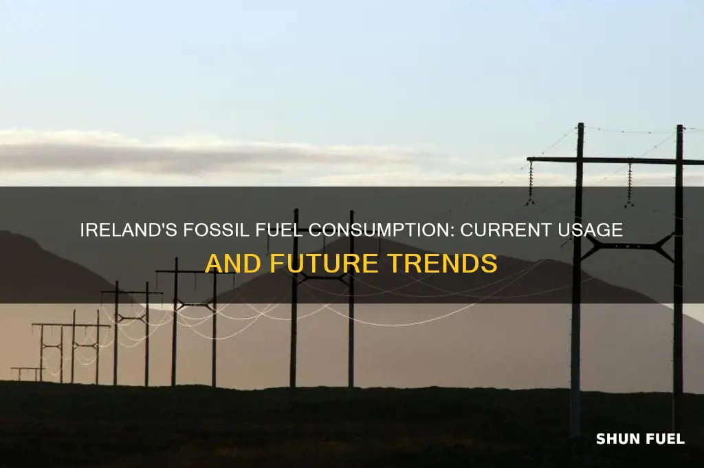 how much fossil fuels does ireland use