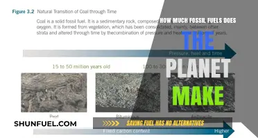 The Earth's Fossil Fuel Creation: How Much and How Often?