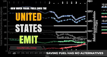 US Fossil Fuel Emissions: A Troubling Overview