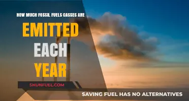 The World's Annual Fossil Fuel Emissions