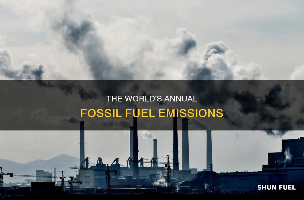 how much fossil fuels gasses are emitted each year
