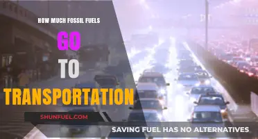 Transportation's Fossil Fuel Dependence: A Global Concern