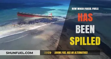 The Devastating Impact of Fossil Fuel Spills