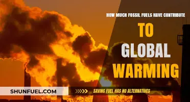 Fossil Fuels' Global Warming Impact: A Troubling Legacy