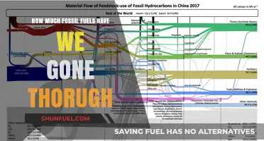 The World's Fossil Fuel Consumption: A Sobering Reality Check