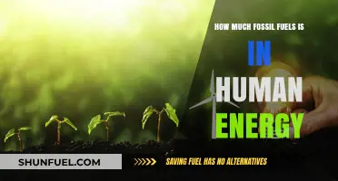 Fossil Fuels: Human Energy's Dark Underbelly