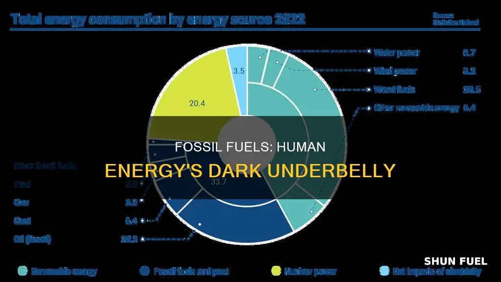 how much fossil fuels is in human energy