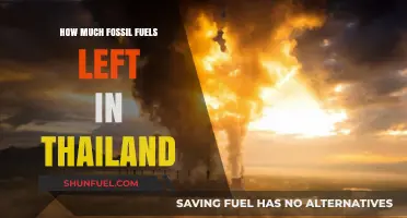 Thailand's Fossil Fuel Supplies: What's Left?