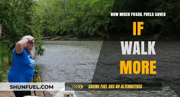 Walking: Saving Fossil Fuels, One Step at a Time