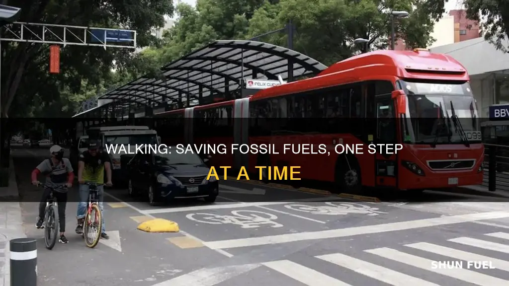 how much fossil fuels saved if walk more