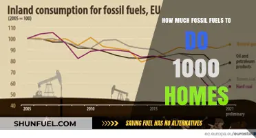 Fossil Fuels: Powering 1000 Homes, What's the Cost?
