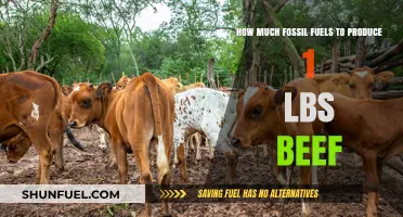 Fossil Fuels and Beef: The Energy Cost of Production