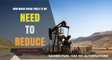 Reducing Fossil Fuel Consumption: Our Urgent Priority