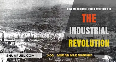 Industrial Revolution's Fossil Fuel Consumption