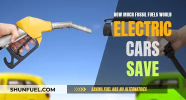 Electric Cars: The Fossil Fuel Savers