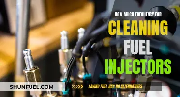 Maintaining Fuel Injectors: Cleaning Frequency and Best Practices