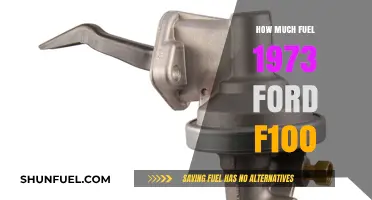 Ford F100 Fuel Efficiency: How Much Does it Guzzle?