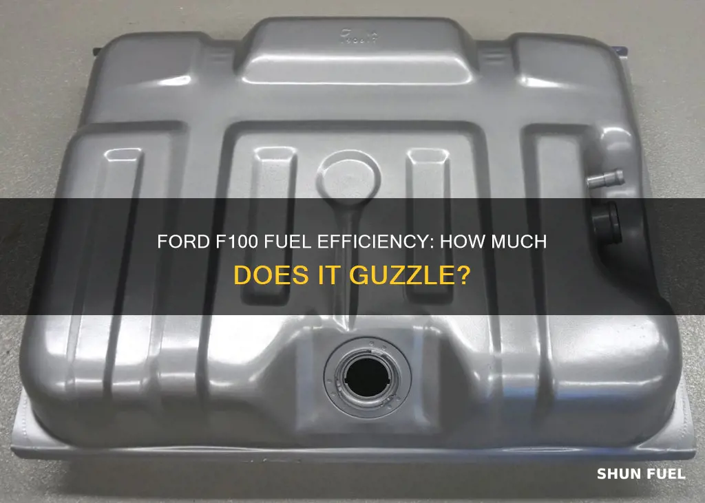 how much fuel 1973 ford f100