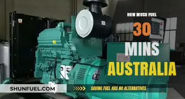 Australia's Fuel Consumption: 30 Minutes of Insights
