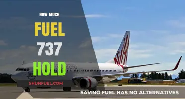 The 737's Fuel Capacity: How Much Can It Hold?