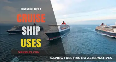 Cruise Ships' Fuel Consumption: How Much is Too Much?