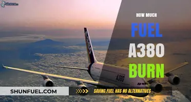 Fuel Consumption of the Airbus A380: How Efficient Is It?