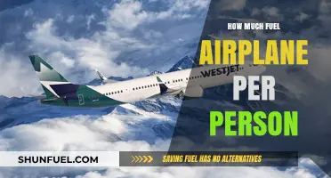 Airplane Fuel Efficiency: How Much Fuel Per Person?