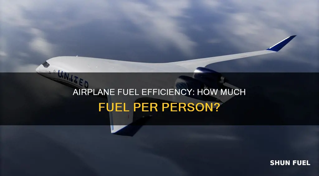 how much fuel airplane per person